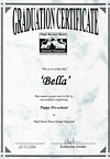 Bella's Puppy Pre-school Graduation Certificate